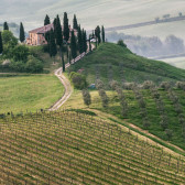 La Toscana: degustazione guidata