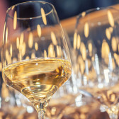 Degustazione di vini premiati dalla guida Prosit 2022