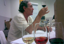 tablo coldiretti cn    2008