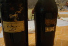 faule 11